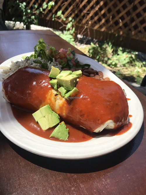 Veggie burrito with red sauce at Natural Grocers in Montrose