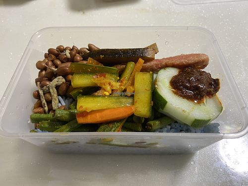 Nasi Lemak  at J & T Vegetarian in Central Singapore