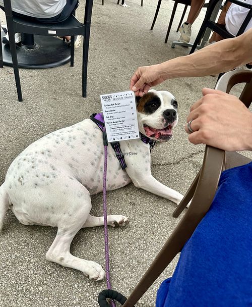 Doggie menu   at Skoog's Pub & Grill in Utica