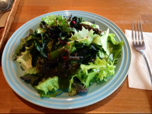Salad with wakame (seaweed)  at Cafe Atl in Osaka