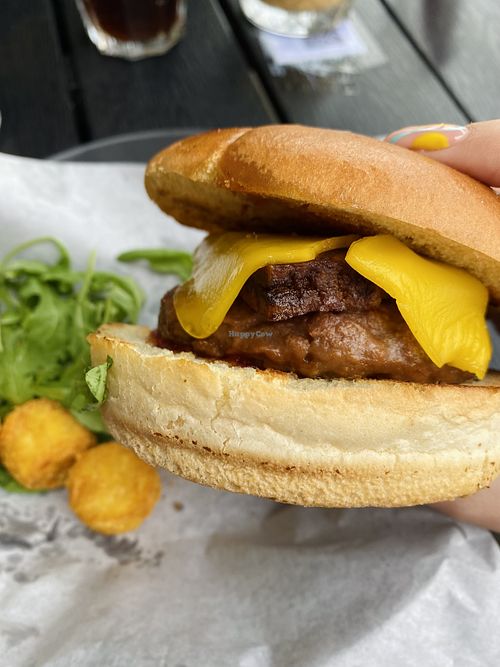 Canteen Belfast Restaurant HappyCow