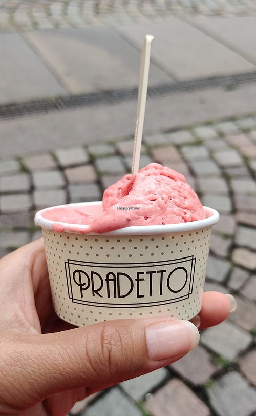 Strawberry 🍓 at Gelateria Pradetto in Bressanone