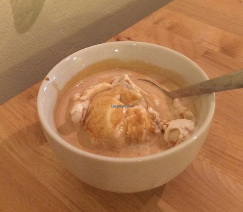 Vegan affogato - espresso over vegan vanilla ice cream at Karma Cream in Gainesville