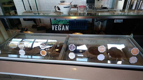 All the vegan options at Karma Cream in Gainesville
