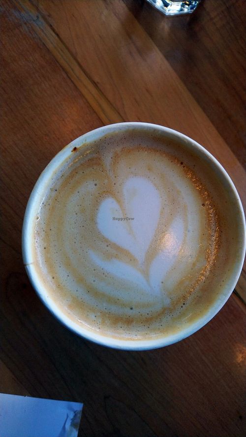 Almond milk cappuccino at Karma Cream in Gainesville