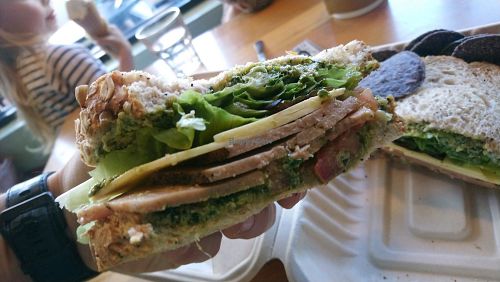 The pestrami!!! at Karma Cream in Gainesville