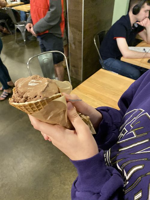 Vegan ice cream  at Karma Cream in Gainesville