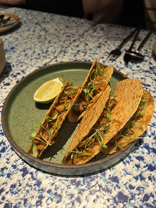 Tacos 9/10 but not filling , usually comes in 3 but we ordered an extra  at Analogue Initiative in Central Singapore