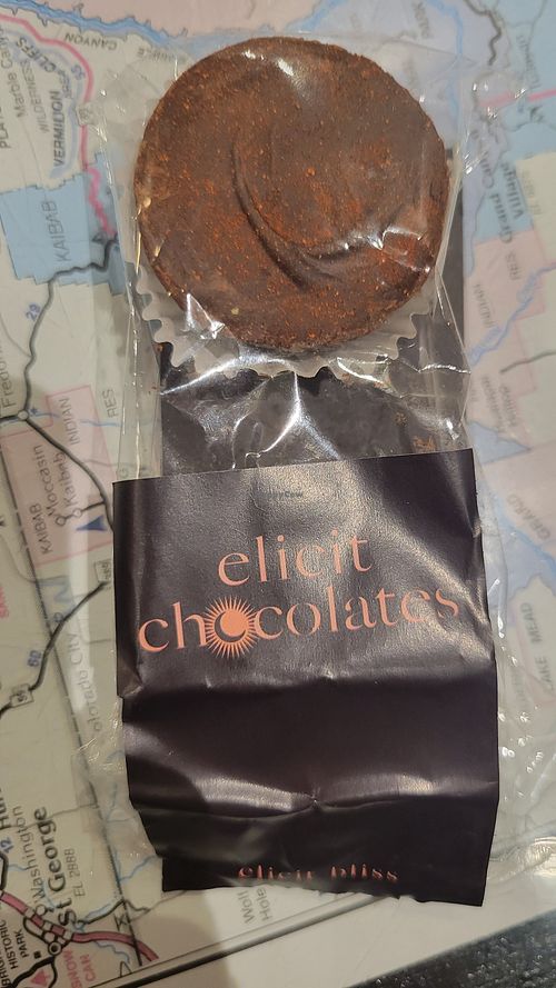 Local vegan chocolate-RICH! at Late For the Train in Flagstaff