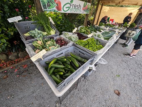 Great veggies at The Shed Collective in Auckland