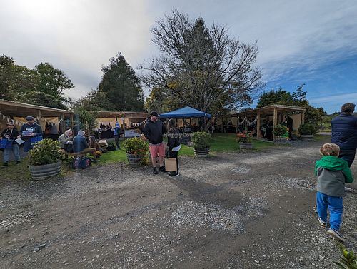 Outside at The Shed Collective in Auckland