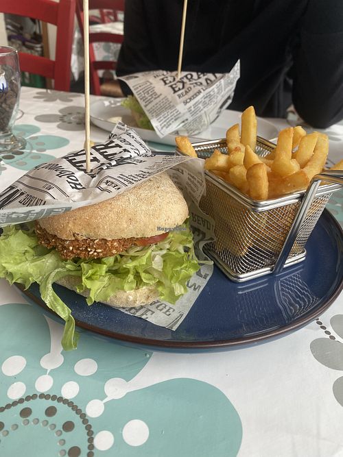 Veggie burger with fries   at Cold Hawaii in Klitmoeller