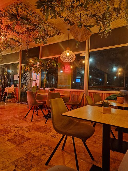  at Bone Free  in Costa Da Caparica