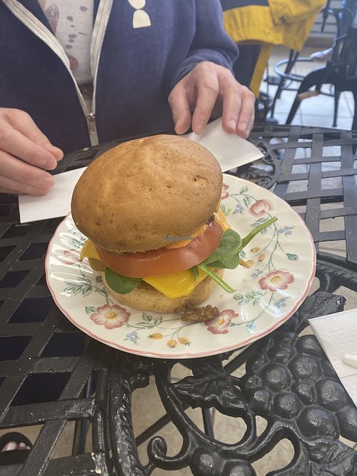 Breakfast special BEC sandwich   at Green Street Eatery in Levittown