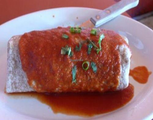 Vegan Burrito - photo by MR MEANER at Swinger's Diner in Los Angeles