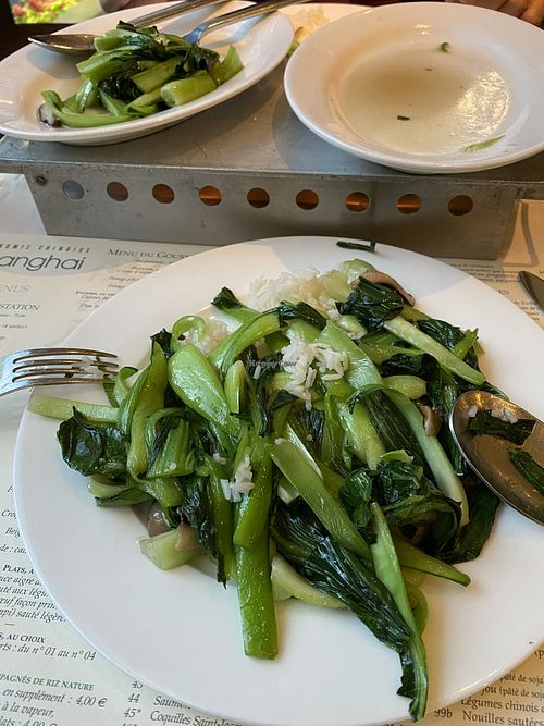 Saai!  at Le Shanghai in Liege