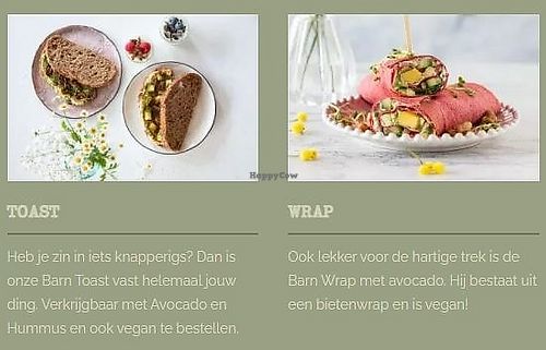 vegan options at YB by Yoghurt Barn in Breda
