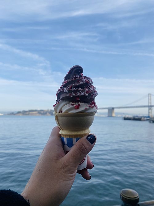 Vegan Vanilla + Chocolate with Crushed Peppermint   at Gott's Roadside - 1 Ferry Building in San Francisco