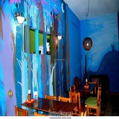 bright colors of the eating area at El Buho Vegetariano in San Jose