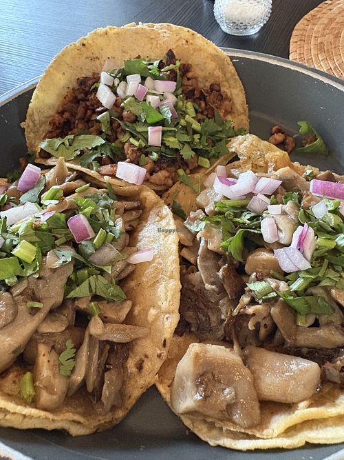 Tacos  at Mictlan Antojitos Veganos in Mexico City