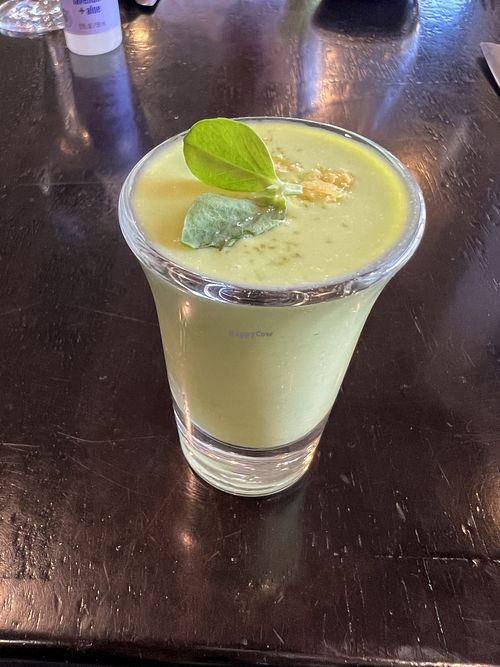 Muse  at El Aguacate Vegan in Tamarindo