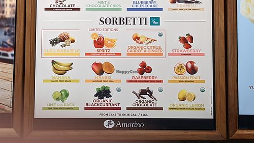 Vegan sorbetti options at Amorino in Plano
