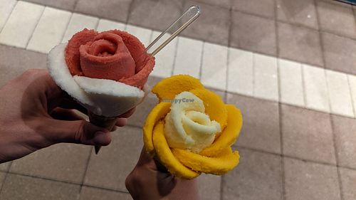 Strawberry and lemon cone + mango and pineapple (seasonal) cone at Amorino in Plano