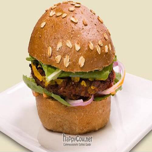 Buddha Burger at Ludens Express - Industrial Zone in Raanana