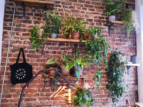 Plants 😊🌵🌱🌿 at Common Ground in North London