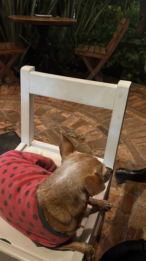   at El Almacén in Villa De Leyva