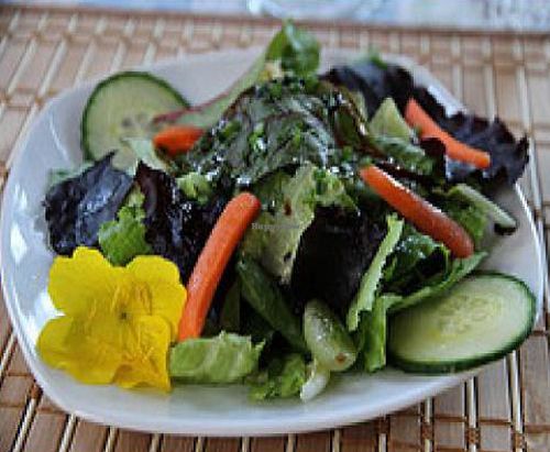 Salad at Cabot Shores Wilderness Resort in Cape Breton Island