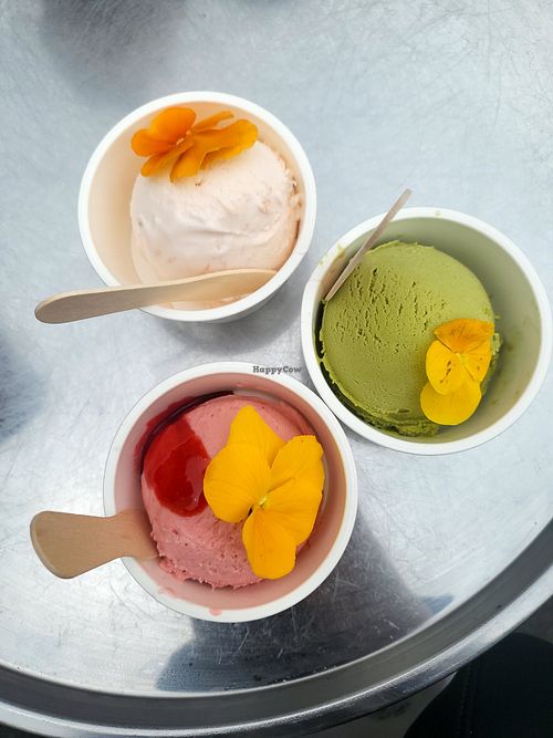 Matcha pistachio, pink rhubarb, tonka bean and grapefruit at Vegan Ramen UZU Tokyo in Tokyo