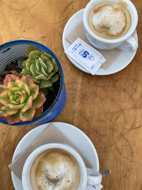 Oat Milk available  at NOMADS in Colares