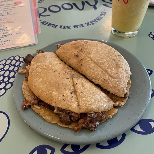 TOTALLITY  at Groovy's Taqueria Vegana in Mexico City