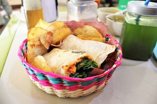 Vegan hummus wrap with crisps. at Trigo Verde in Oaxaca