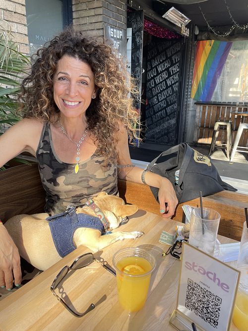  #Veganuary at Stache West Hollywood in West Hollywood