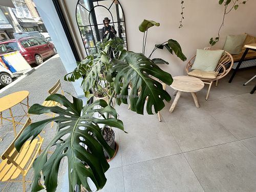 inside  at Taylor's Cafe in Brussels