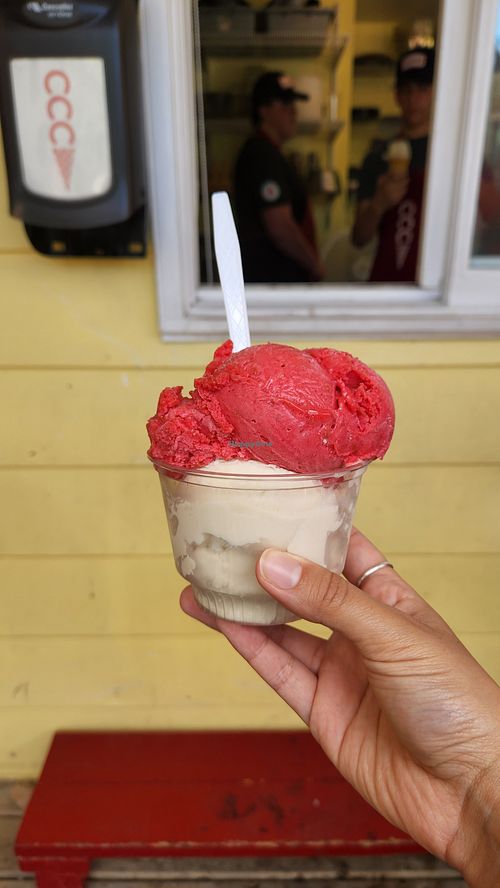  at The Carp Custom Creamery in Carp