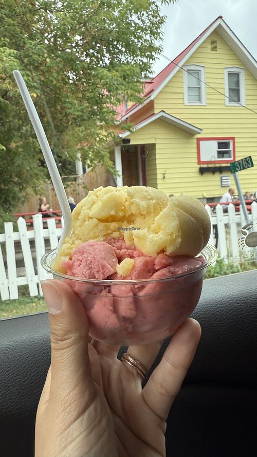 Peach and Strawberry Sorbet  at The Carp Custom Creamery in Carp