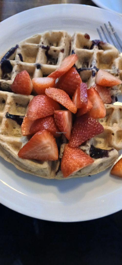 Waffle with blueberries and strawberries. at Common Cup in Amity