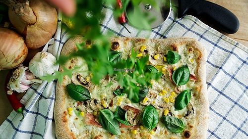 Semafor at Semafor Pizzeria in Wroclaw