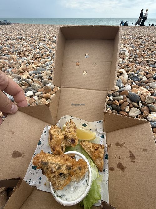 Tofish   at The No Catch Co in Brighton