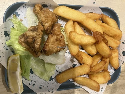   at The No Catch Co in Brighton