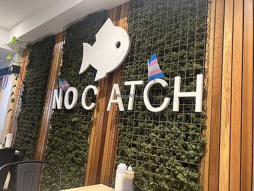   at The No Catch Co in Brighton