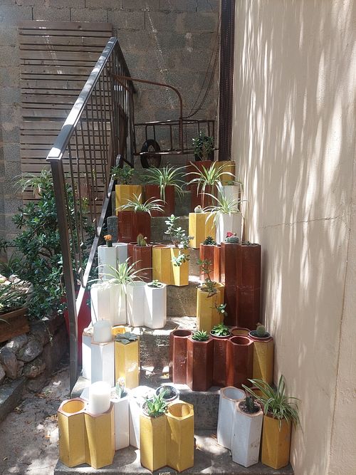 Garden at Miga de Nube in Mallorca