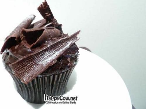 Vegan Chocolate cake at A Caterpillar's Dream Cafe in Kew