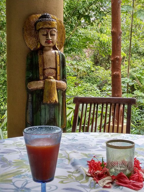 Every meal had fresh juice.... this one was papaya.  And, again.... the amazing view! at Waterfall Villas in Dominical