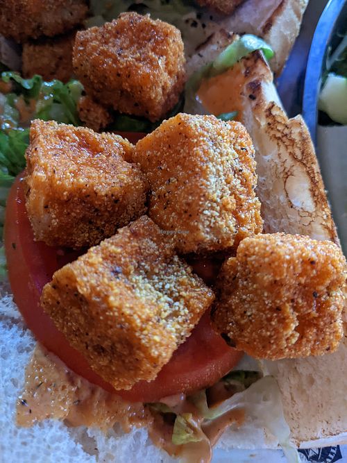  at The Galley in St Petersburg