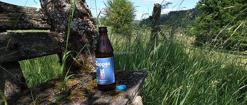 Alkoholfreies Bier at Biomarkt Landgefühl in Wiehl