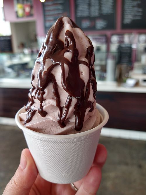 Mini size at Yoga-urt - Santa Monica in Santa Monica